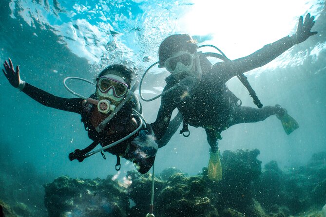 Alanya Scuba Diving for Beginners - What happens during the first session