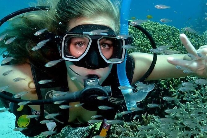 Alanya Scuba Diving for Beginners - Who will enjoy this Alanya boat day?