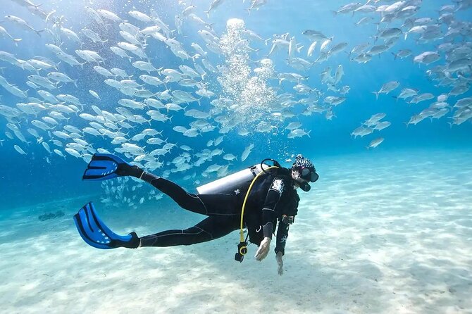 Alanya : Scuba Diving for Beginners w/ Lunch and Transfer - Starting at your hotel around 8:00 am