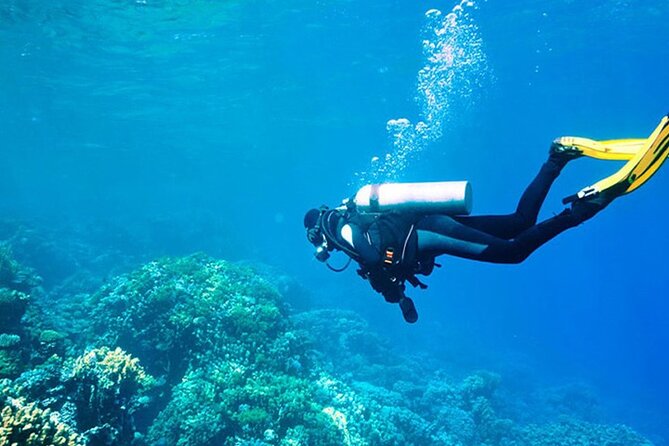 Alanya : Scuba Diving for Beginners w/ Lunch and Transfer - Learning the basics before your first underwater session
