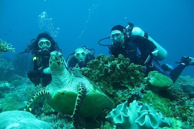 Alanya : Scuba Diving for Beginners w/ Lunch and Transfer - What the two underwater sessions are like