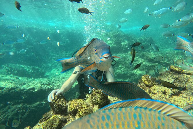 Alanya Scuba Diving for Beginners - A calm start with safety training