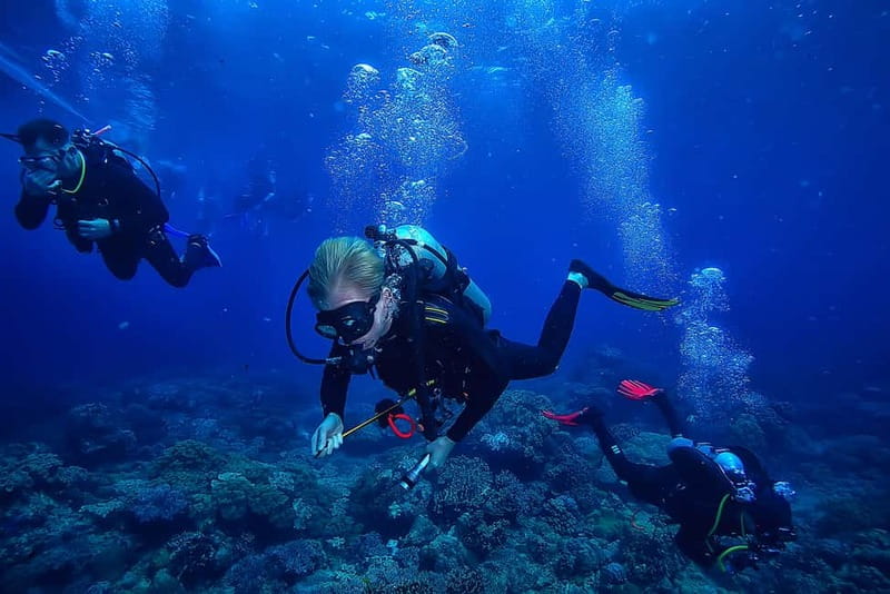 Alanya: Scuba Diving Tour with Lunch and Hotel Transfers - Key points to know before booking