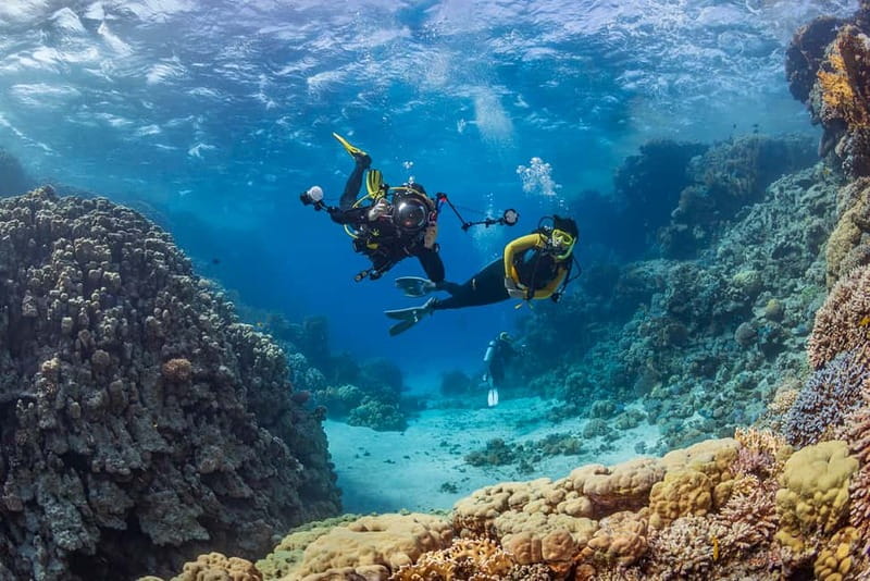Alanya: Scuba Diving Tour with Lunch and Hotel Transfers - The first session at 3 to 5 meters