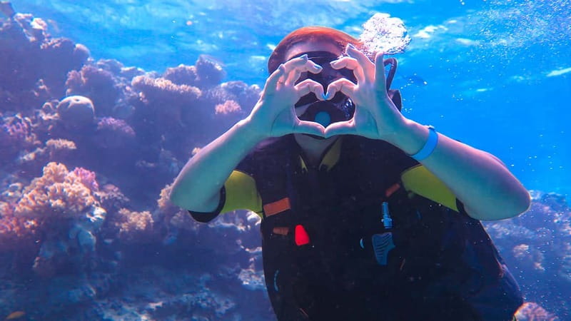 Alanya: Scuba Diving Tour with Lunch and Hotel Transfers - Safety, equipment, and the crew