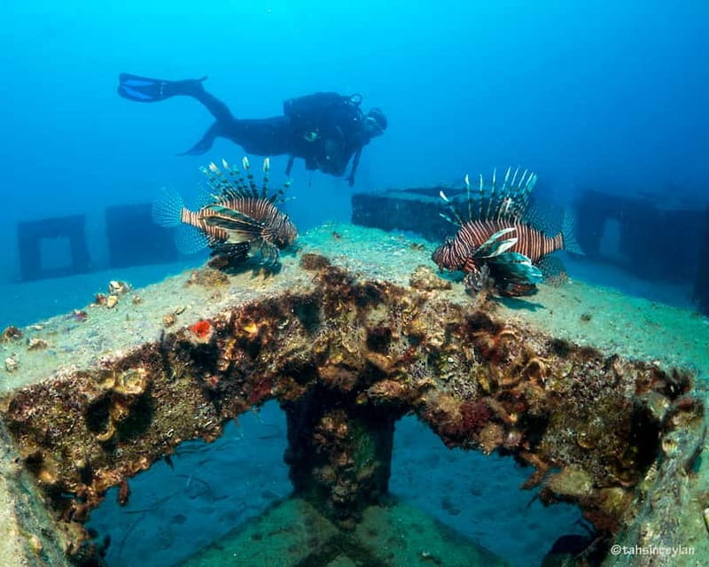Alanya: Scuba Diving Tour with Lunch and Hotel Transfers - Price, cancellation, and practical planning