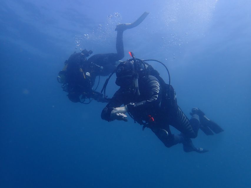 Albufeira: 2 DIVES TRIP (ONLY CERTIFIED DIVERS) - What the Albufeira morning actually feels like