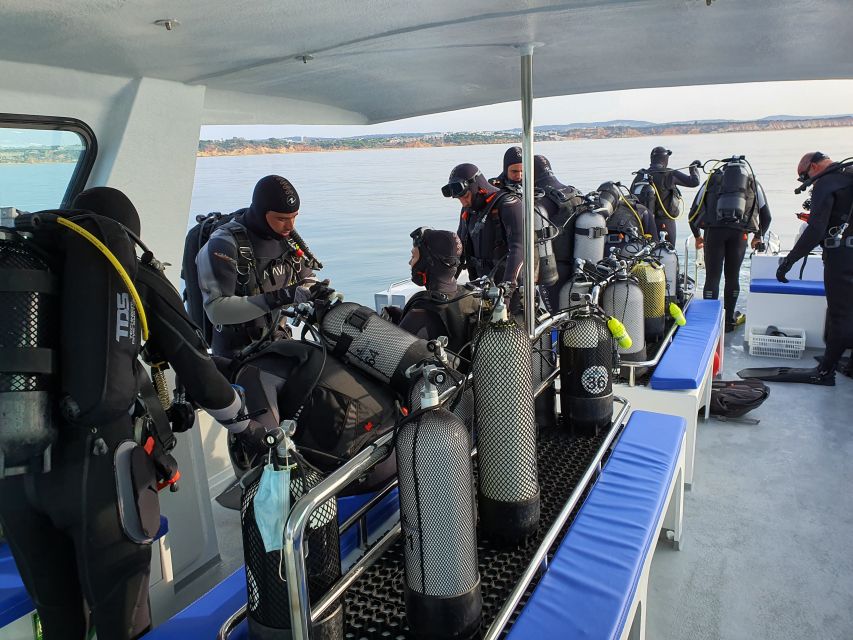 Albufeira: 2 DIVES TRIP (ONLY CERTIFIED DIVERS) - Second session: a fresh habitat before returning