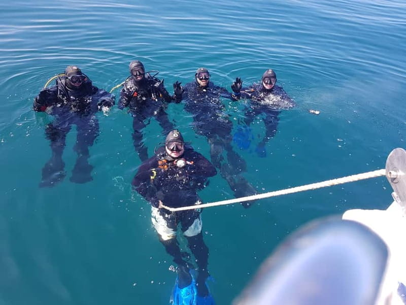 Albufeira: Scuba Diving Experience for Beginners - What makes this Albufeira experience worth considering