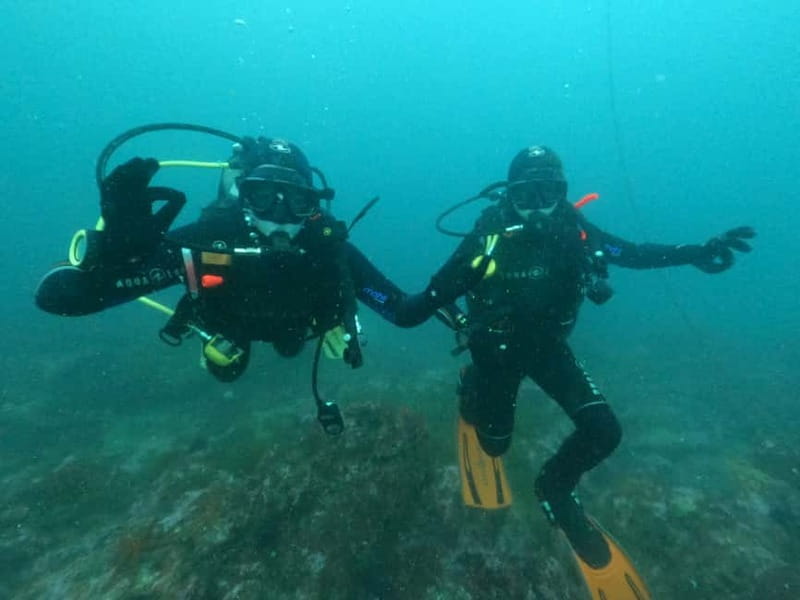 Albufeira: Scuba Diving Experience for Beginners - Practical booking advice for a smoother session