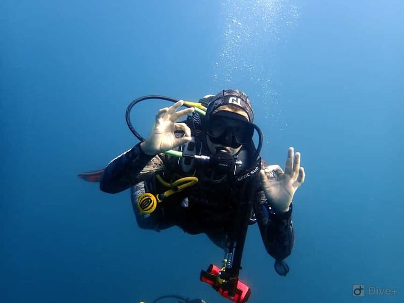 Albufeira: Scuba Diving Experience for Beginners - The instructors are a major part of the experience