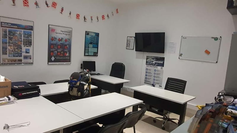 Albufeira: Scuba Diving Experience for Beginners - What the certificate does and does not mean