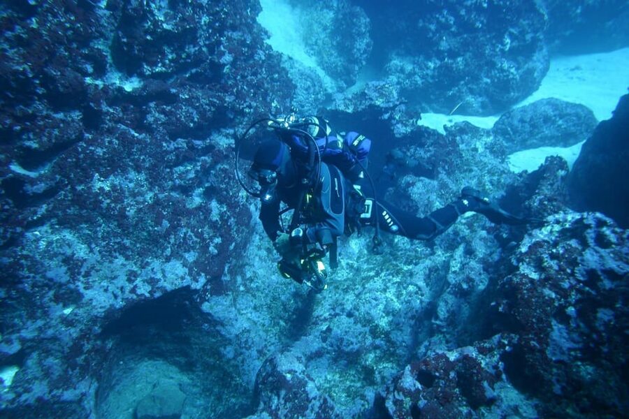Alghero: discovery diving lesson for beginners - A calm first step into scuba near Alghero