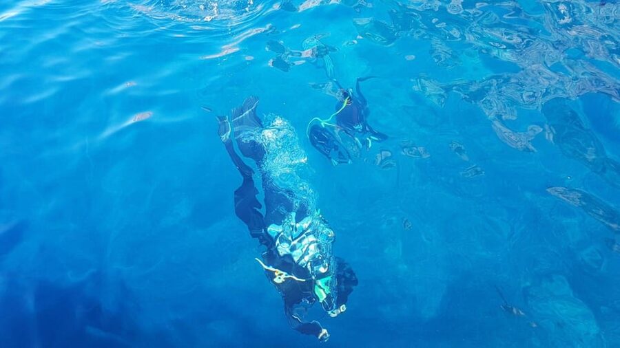 Alghero: discovery diving lesson for beginners - The small group makes a real difference