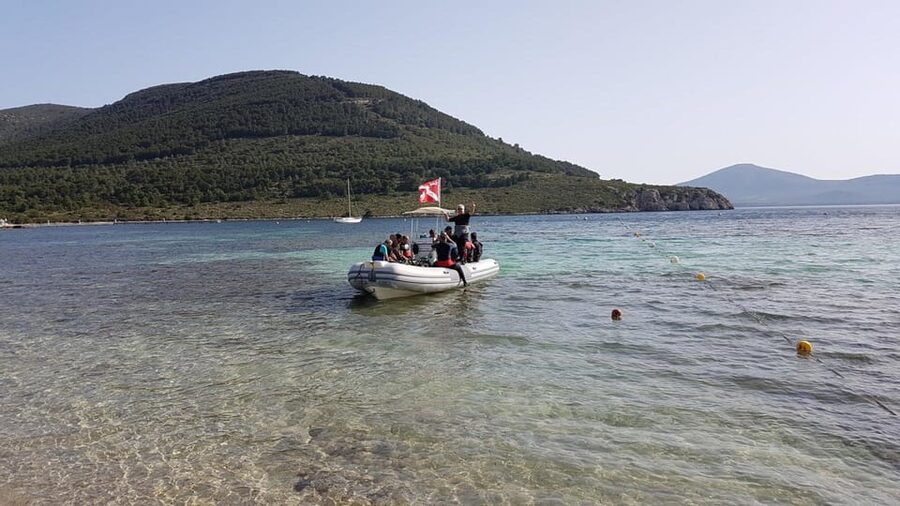 Alghero: discovery diving lesson for beginners - Safety, comfort, and practical limits