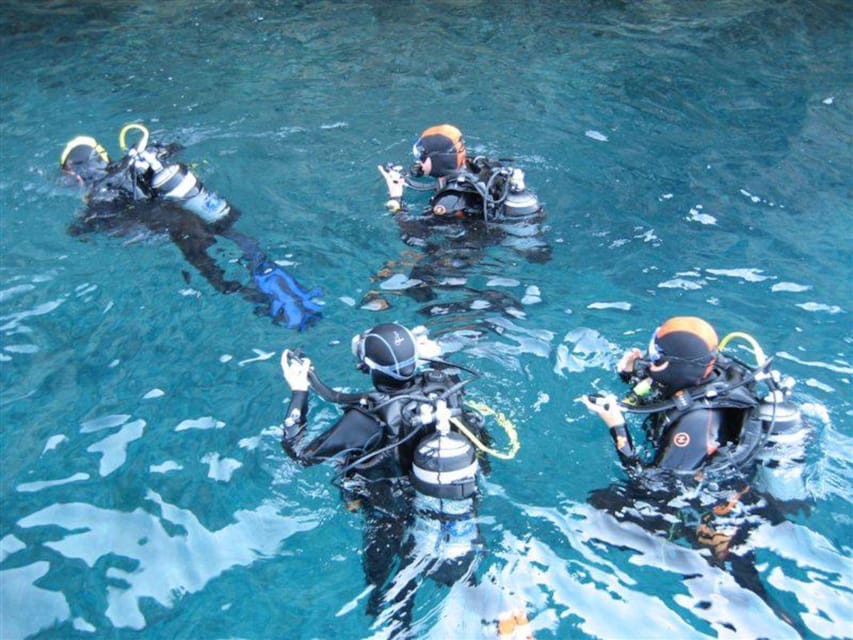 Alghero: discovery diving lesson for beginners - Booking flexibility and timing