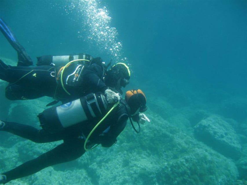 Alghero: discovery diving lesson for beginners - What happens during the 2.5-hour session