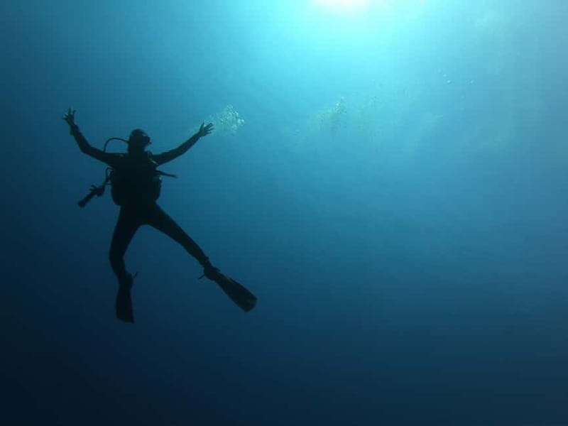 Alghero: Diving Experience - Why Capo Caccia works so well underwater