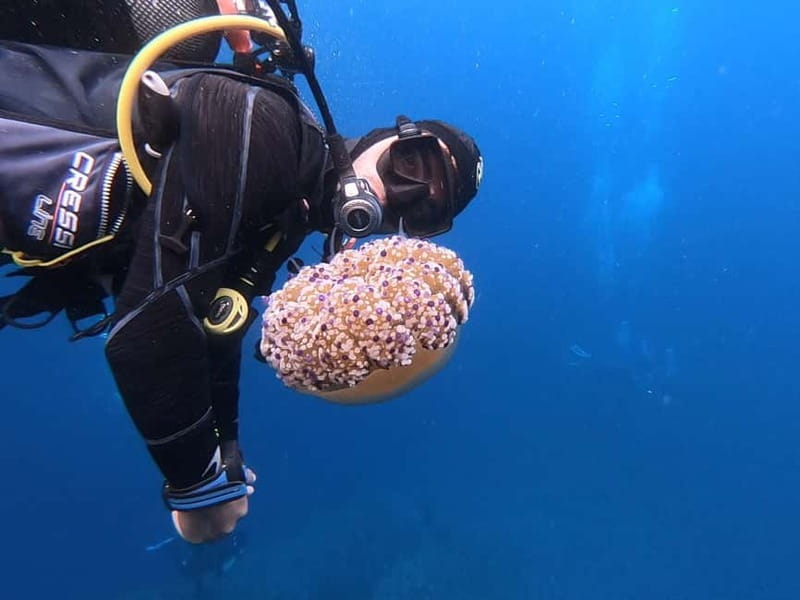 Alghero: Diving Experience - One hour around the Capo Caccia formations