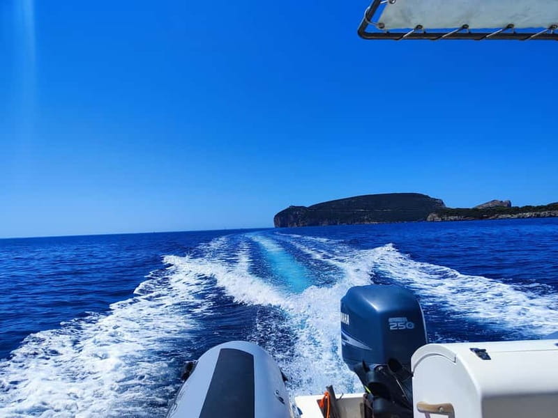 Alghero: Diving Experience - Booking details that affect your day
