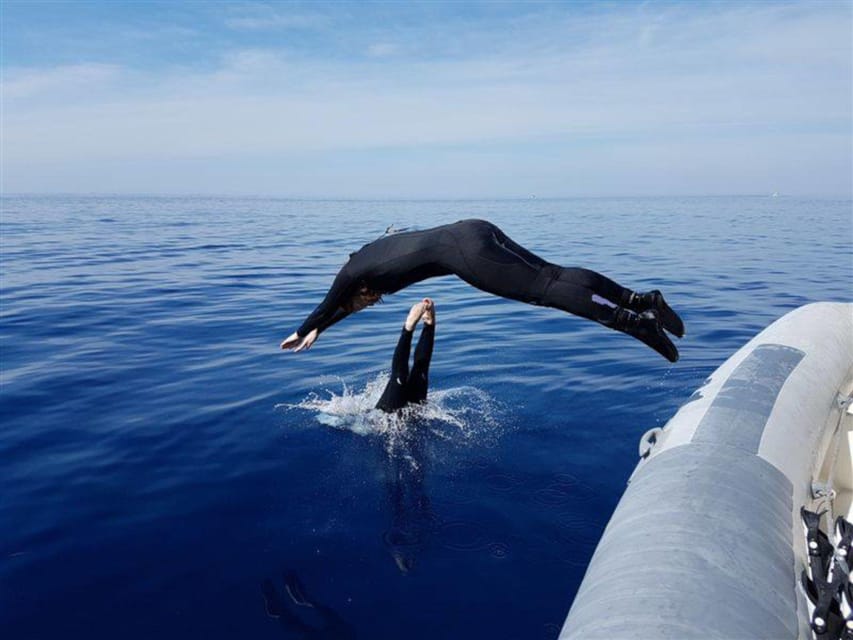 Alghero: diving for professionals at Capo Caccia - Key points to know before booking