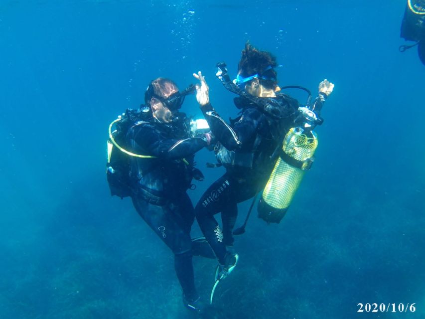 Alicante: Denia Beginners Scuba Diving Experience - Key points to know before booking