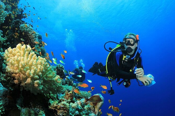 All in One intro Diving & Snorkeling & Water Sport -Hurghada - Key points to know before booking