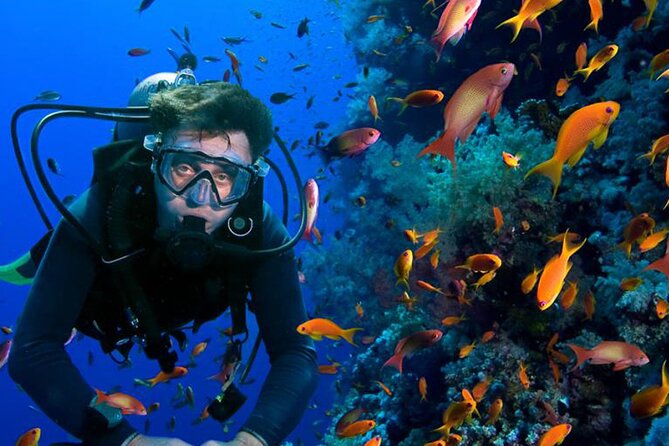 All in One intro Diving & Snorkeling & Water Sport -Hurghada - Your first coral stop and beginner scuba session