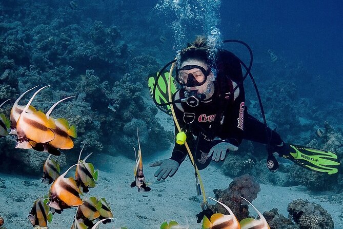All in One intro Diving & Snorkeling & Water Sport -Hurghada - Setting out from Hurghada’s dock