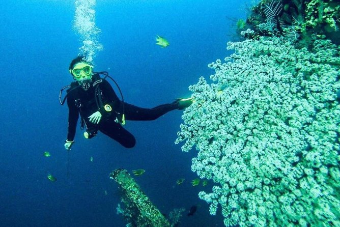 All Inclusive Bali Scuba Diving at Tulamben with Lunch -Transport - What the underwater session is like