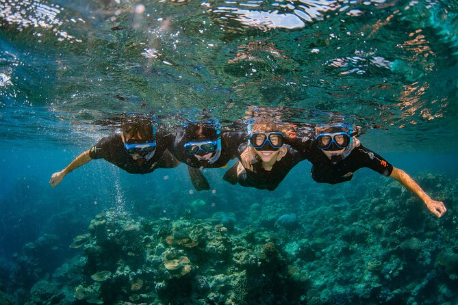 All Inclusive Great Barrier Reef Cruise w optional Scuba Diving - Fresh food makes the long day easier