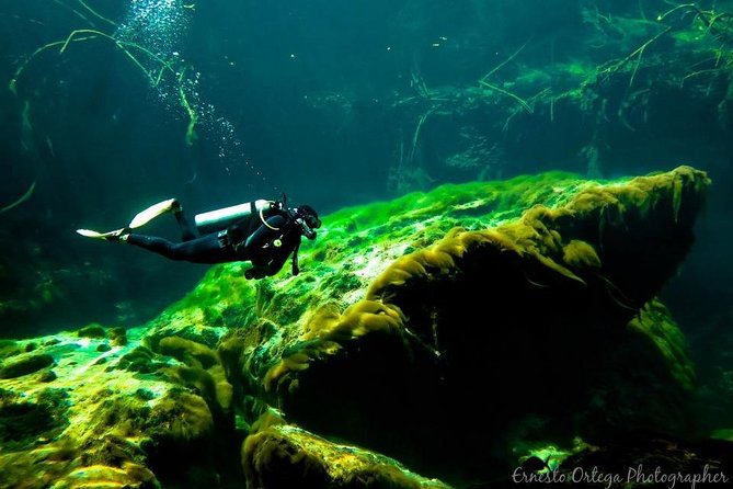 Amazing beginner dive in Tulum cenote (or refresher dive) - What you see beneath Casa Cenote