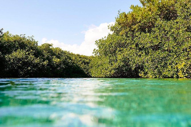 Amazing beginner dive in Tulum cenote (or refresher dive) - The value of a maximum-four group