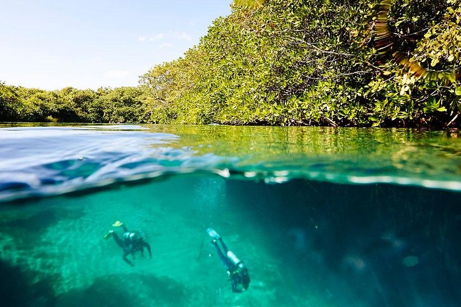 Amazing beginner dive in Tulum cenote (or refresher dive) - What the $140 price really covers