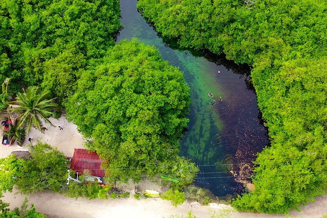 Amazing beginner dive in Tulum cenote (or refresher dive) - Who should book, and who should pause