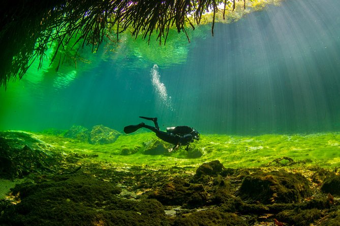 Amazing beginner dive in Tulum cenote (or refresher dive) - Your 9 a.m. start at La Calypso Dive Center