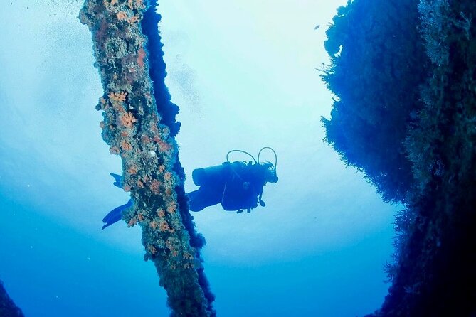 Anguilla Based: 2-Tank Group Dive Experience for Certified Divers - The value of guided site time