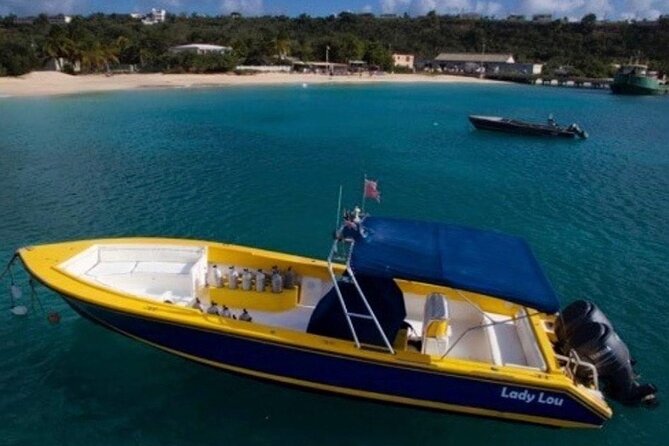 Anguilla Based: 2-Tank Group Dive Experience for Certified Divers - Who will enjoy this most