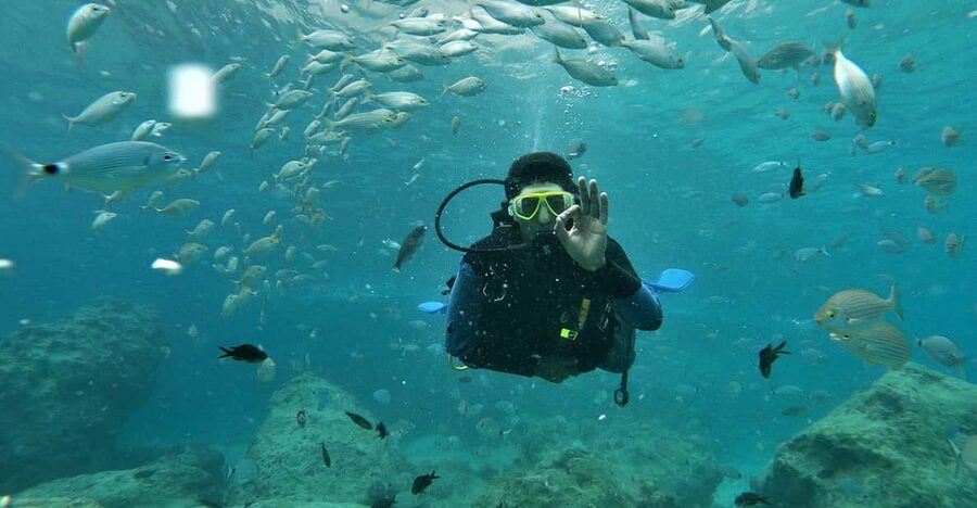 Antalya and Kemer: Full Day Scuba Diving Tour with Lunch - Key points to know before you book