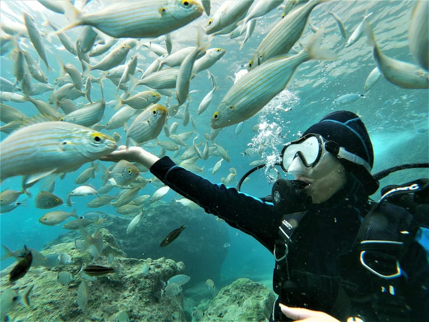 Antalya and Kemer: Full Day Scuba Diving Tour with Lunch - Reef, cave, and shipwreck sites
