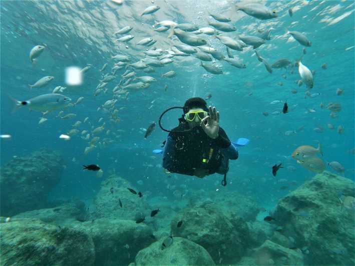Antalya and Kemer: Full Day Scuba Diving Tour with Lunch - The first briefing makes this suitable for beginners