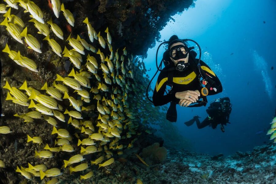 Antalya/ Belek Scuba Diving Tour With 2 Time Dive & Lunch - Key points at a glance