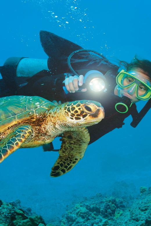 Antalya/ Belek Scuba Diving Tour With 2 Time Dive & Lunch - Two underwater sessions from Antalya and Belek