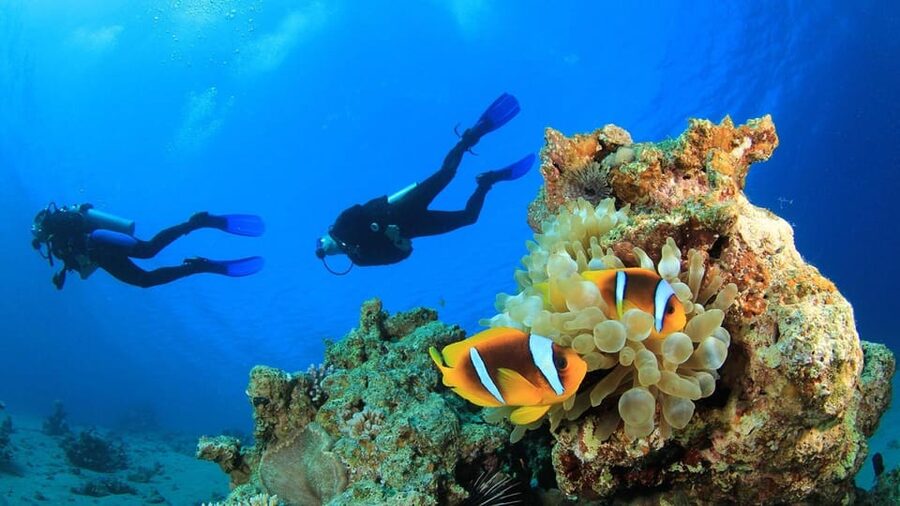 Antalya/ Belek Scuba Diving Tour With 2 Time Dive & Lunch - Lunch on the Mediterranean