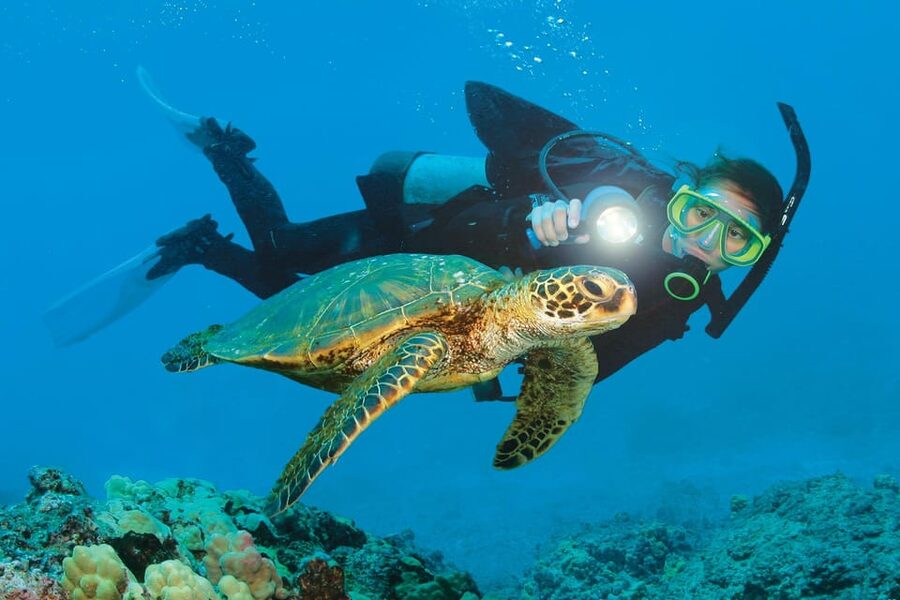 Antalya/ Belek Scuba Diving Tour With 2 Time Dive & Lunch - The afternoon session at 10 to 15 meters