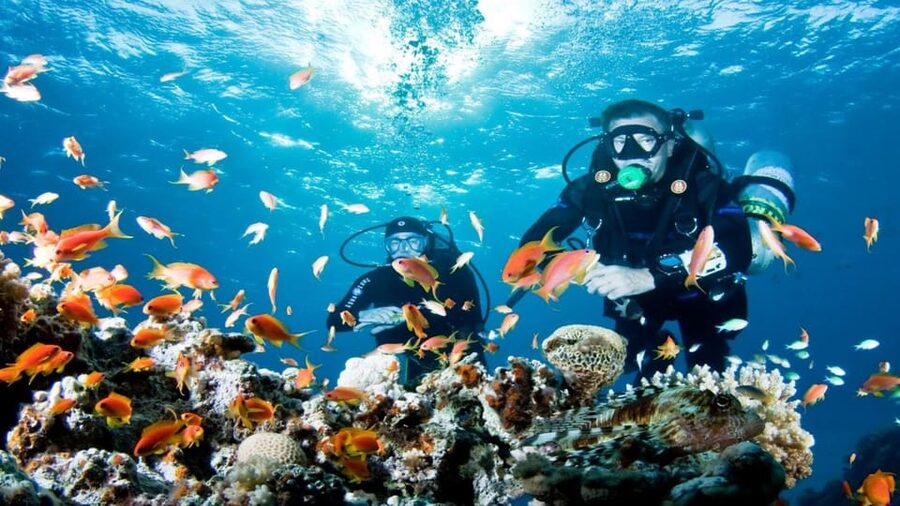 Antalya/ Belek Scuba Diving Tour With 2 Time Dive & Lunch - Languages, safety, and the beginner experience