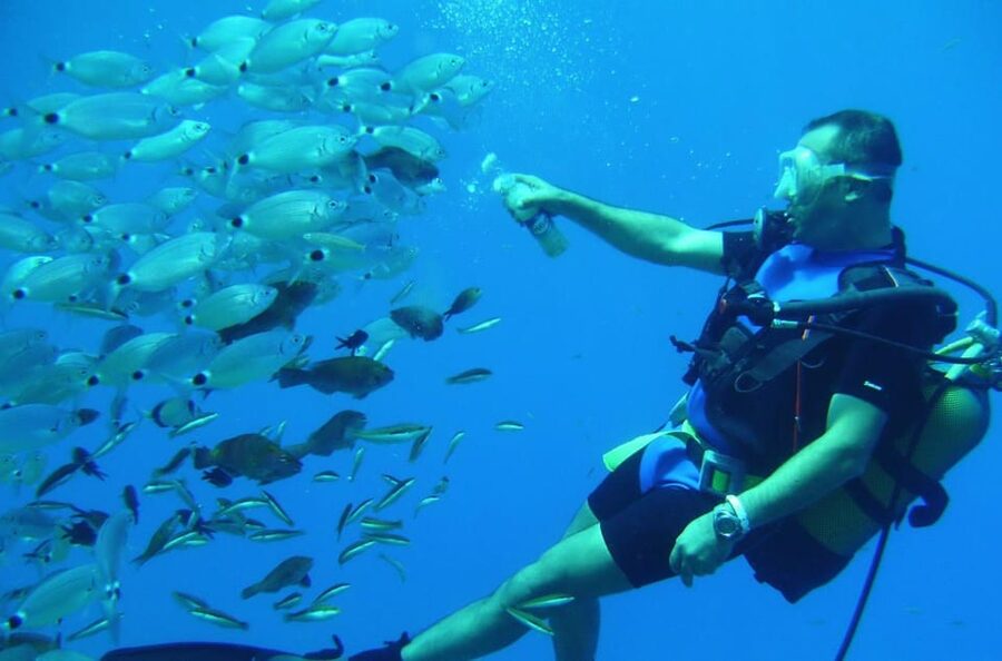 Antalya/ Kemer/ Belek Scuba Diving With Lunch & Transfer - What this Kemer boat day is really like