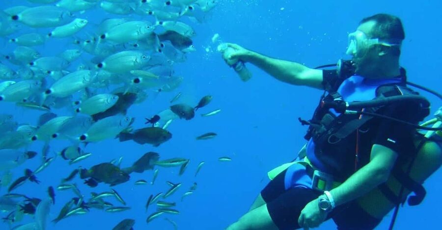 Antalya/ Kemer/ Belek Scuba Diving With Lunch & Transfer - What happens between the sessions