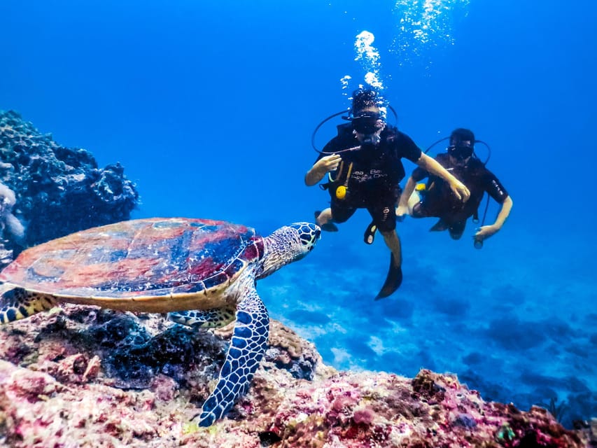 Antalya/ Kemer/ Belek Scuba Diving With Lunch & Transfer - Is $47 good value?