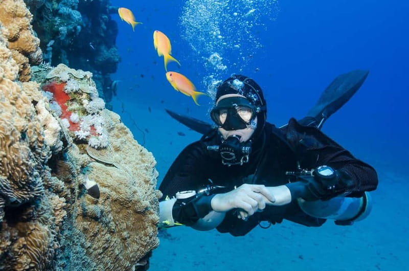 Antalya/Kemer: Scuba Diving Experience with 2 Dives & Lunch - From Kemer Marina to the first cove